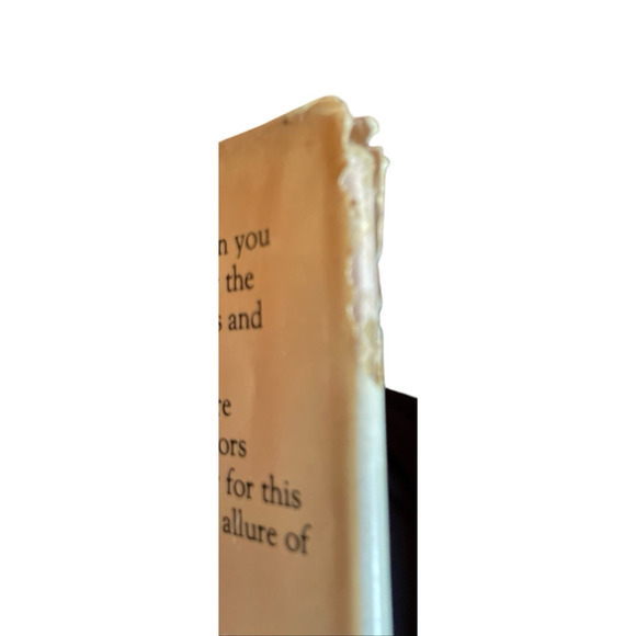 The Basket Book by Lyn Siler and Carolyn Kemp 30 Baskets to Make and Enjoy 1988 - Picture 14 of 16